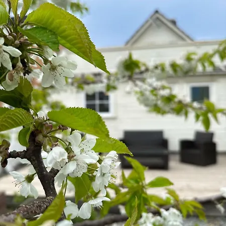 Centre Treehouse With Backyard - Two Bedroom Apartment