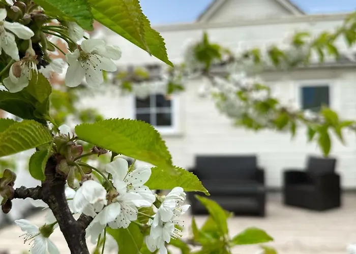 Centre Treehouse With Backyard - Two Bedroom 公寓